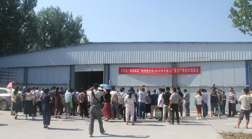 河南省“四優(yōu)四化”科技支撐行動(dòng)計(jì)劃食用菌專項(xiàng)平菇、雙孢蘑菇工廠化生產(chǎn)新技術(shù)觀摩交流會(huì)暨技術(shù)轉(zhuǎn)讓會(huì)成功召開